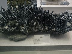 -湖南省地质博物馆