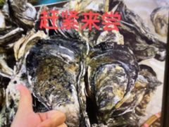 -蠔爺王志德生蚝馆(金沙湾店)