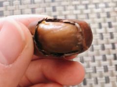 -高记福桂桂花糖炒栗(鼓楼店)