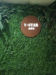 -V-STAR威斯达•高级私人定制