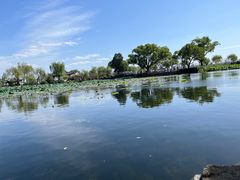 -无锡蠡湖国家湿地公园-蠡园