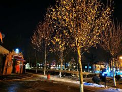 -九十九顶毡房(阜石路店)