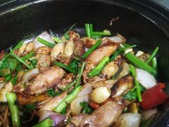-石岐乳鸽村(南海第三分店)