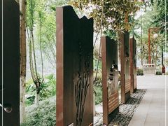 -重庆彩云湖湿地公园