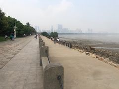 -深圳湾公园(南山区)