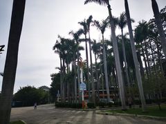 -金砂公园
