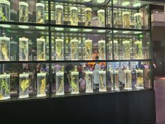 -广东中医药博物馆