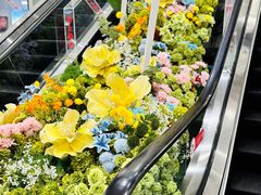 -凯德MALL(望京店)