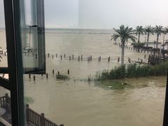 -天和楼·精致太湖酒家(太湖店)