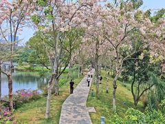 -四海公园(南山区)