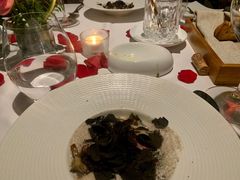 -蝶舍·MAISON PAPILLON