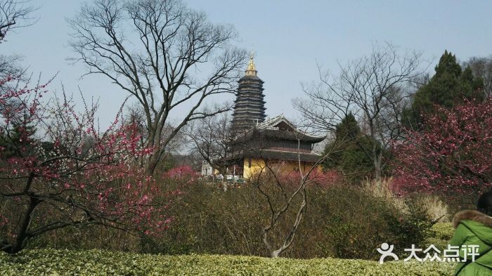 紅梅公園-圖片-常州景點/周邊遊-大眾點評網