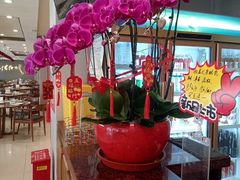 -全聚德烤鸭店(马家堡店)