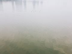 -李公堤