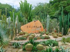 -深圳仙湖植物园