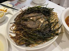 -老吉士酒家(天平路店)