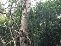 -七仙岭温泉国家森林公园