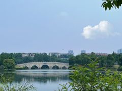 -眉山湿地公园(东坡区)