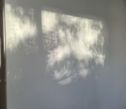 -欣月天使月子中心(西城店)