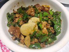 湘村黑猪辣椒炒肉-壹盏灯(惠农店)