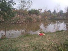 -白鹭湾湿地公园