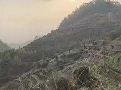 -杨家堂村