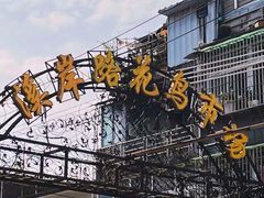 -溪岸路花鸟市场