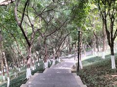 -龙头寺公园