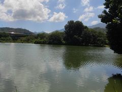 -坪山湿地公园