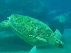 -珠海长隆海洋王国