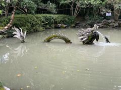 -汇龙潭