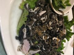 -清雅轩·清真菜·传统菜•融合菜(滑翔店)