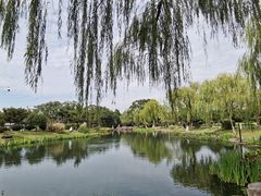 -月湖公园