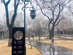 -碑林公园