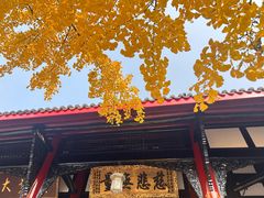 -上海柏悦酒店