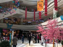 -高新·活力城Village