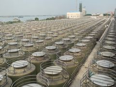 -厨邦酱油文化博览馆