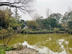 -秋霞圃