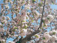 -海棠花溪(元大都城垣遗址公园)