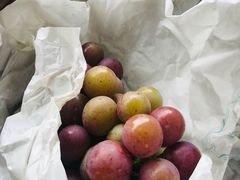 -马陆小张葡萄园农家乐