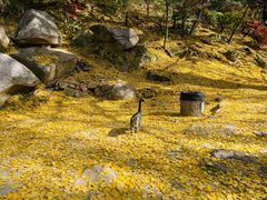 -崂山九水游览区