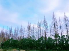 -前小桔亲子创意农场·草莓采摘·露营烧烤