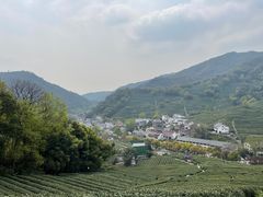 -龙井村