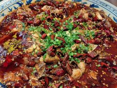 -新概念来凤鱼(璧山店)