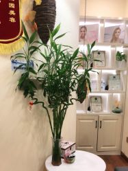 -芳朵美容养生SPA