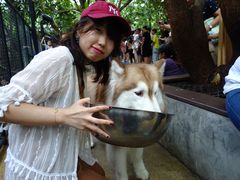 -TrueLove @ Neverland (Husky Cafe)