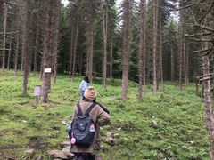 -硗碛藏寨·神木垒景区