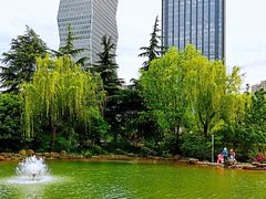 -新虹桥中心花园