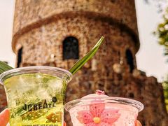 -J Create城市露营咖啡·简餐·宠物(上海动物园店)