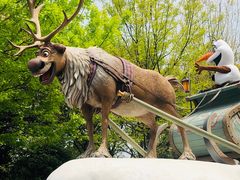 -上海迪士尼度假区